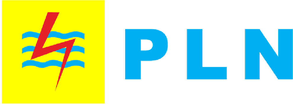 logo 13 pln