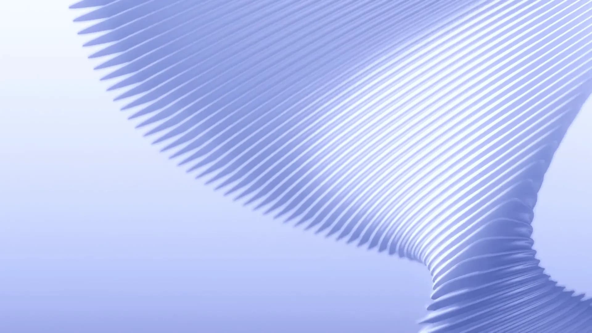 Footer background connectivity video